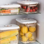 Vakuum-Frischhalte-Container mit Handpumpe