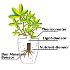 Plant sensor Bluetooth with app control