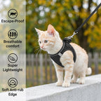 Katzengeschirr mit Luftnetz und Reflektoren