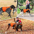 Reflective Safety Vest for Dogs – High Visibility for Evening Walks
