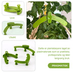 Adjustable plant support for training and growth guidance
