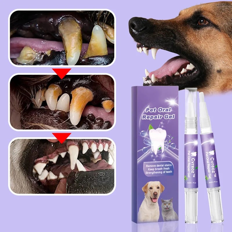 Dental Care Gel for Dogs and Cats – Natural Oral Care