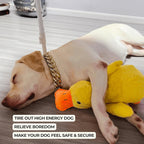 Dog Toy Duck with Squeaker Function