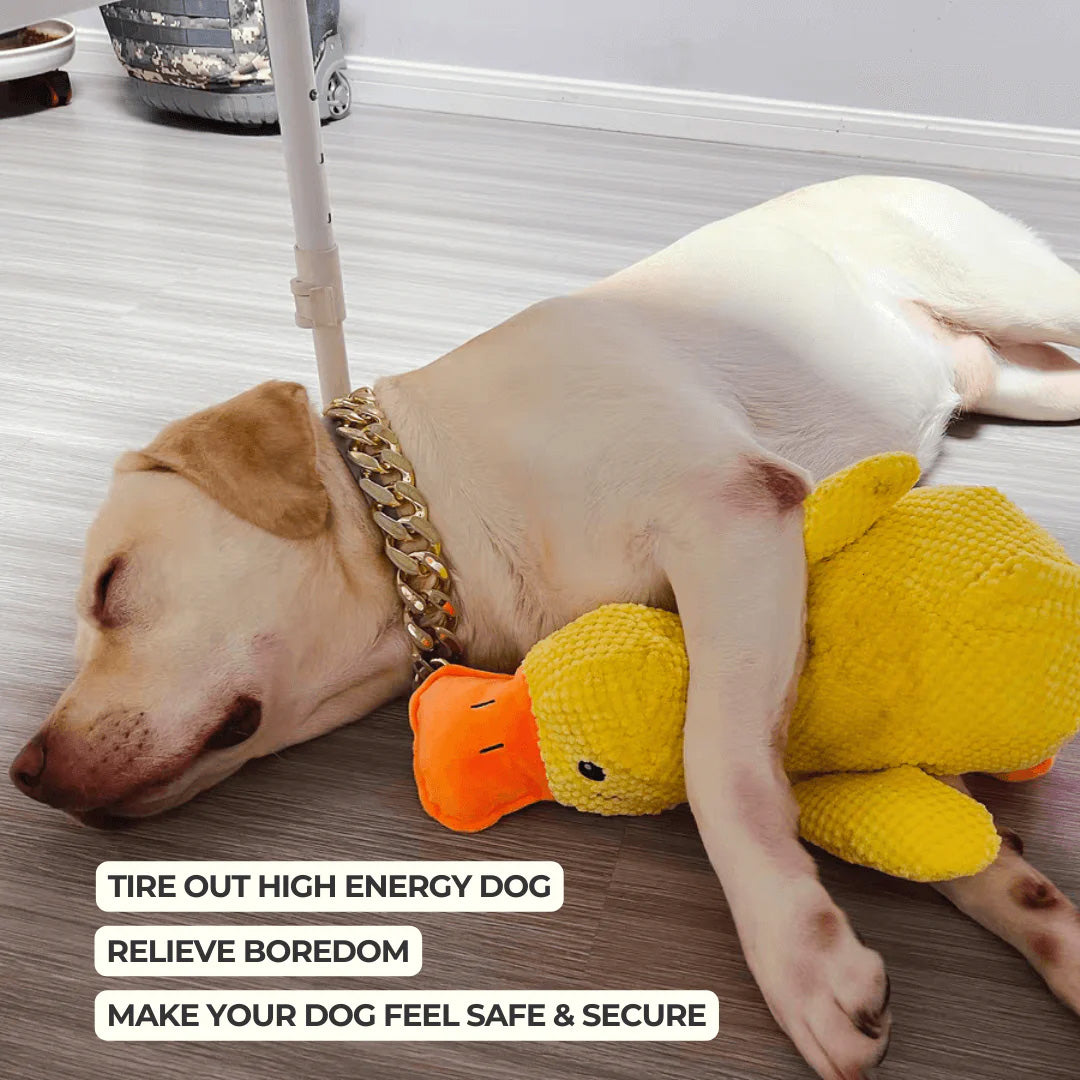 Dog Toy Duck with Squeaker Function