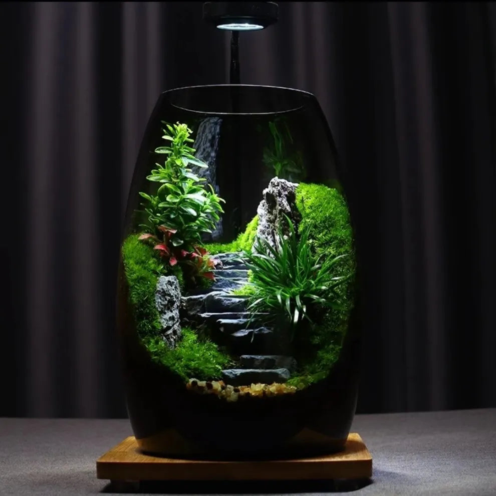 Moos-Terrarium mit Miniaturlandschaft im Glas