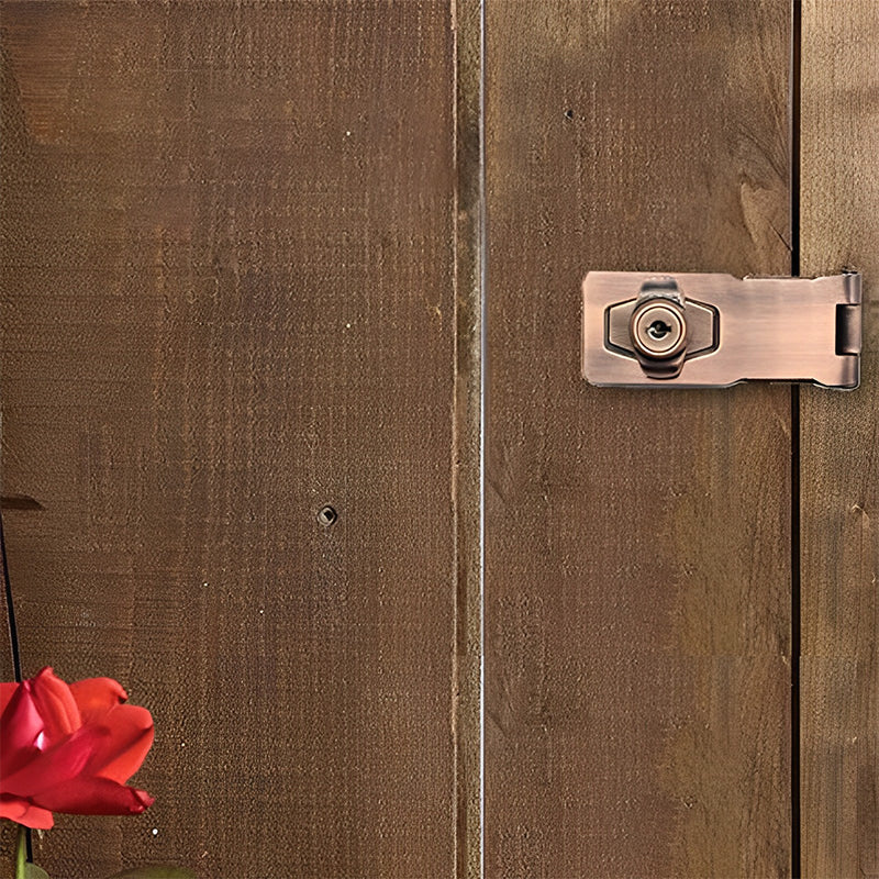 Door lock with hinge bolt and 2 keys