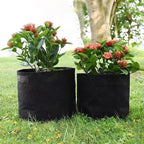 Pflanztaschen aus Filzstoff für Garten und Balkon