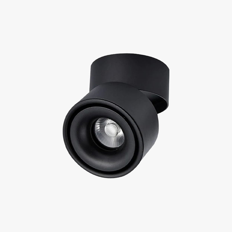 LED ceiling spotlight black and white – swivel and modern