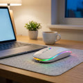 Quiet wireless mouse, Bluetooth 5.2 and USB receiver, rechargeable, RGB