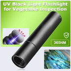 UV-Taschenlampe 365nm – Lebensmittelkontrolle und Hygiene
