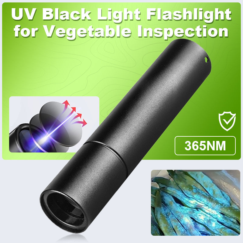 UV-Taschenlampe 365nm – Lebensmittelkontrolle und Hygiene