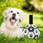 Hundeball Fußball schwimmend mit Pfotenmuster