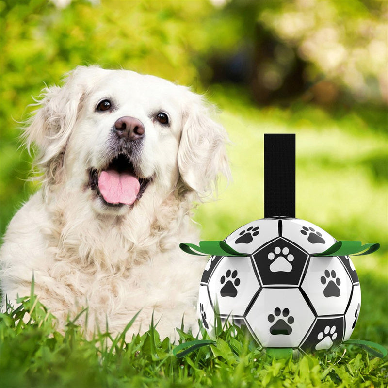 Dog ball soccer floating with paw print