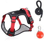 Hundegeschirr Set mit LED-Halsband – Anti-Zieh Design