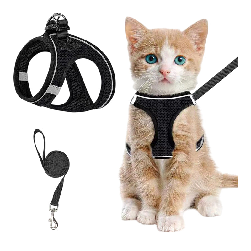 Katzengeschirr mit Luftnetz und Reflektoren
