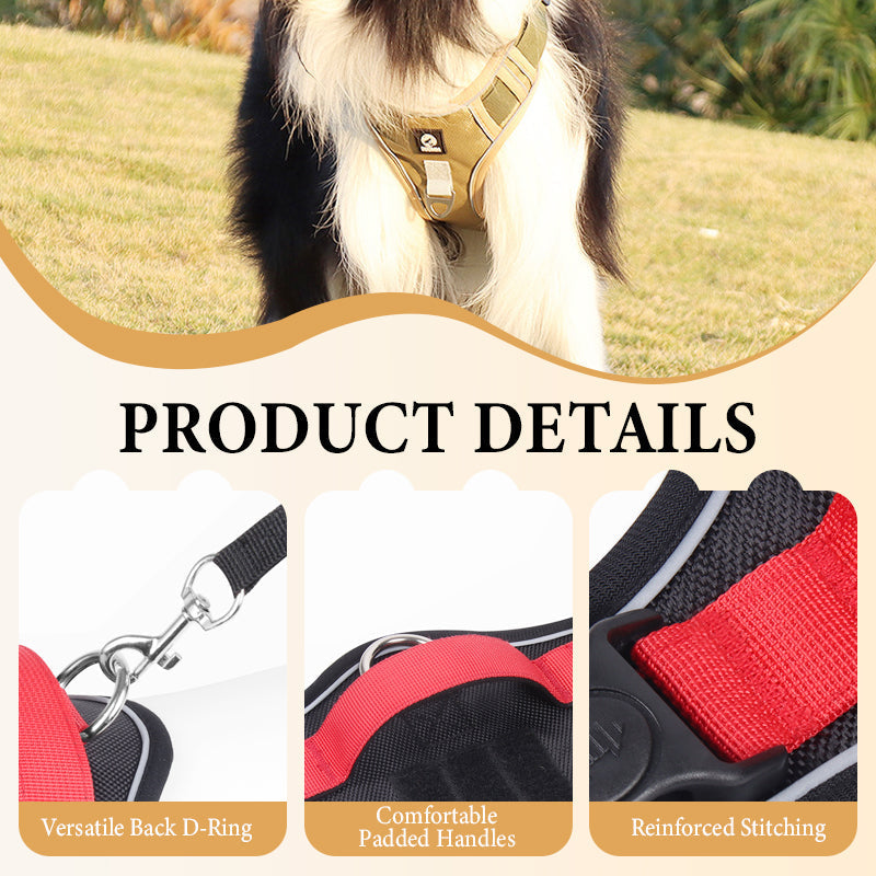 Hundegeschirr Set mit LED-Halsband – Anti-Zieh Design