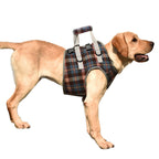 Orthopedic Dog Harness for Hind Legs – Walking Aid for Older Dogs