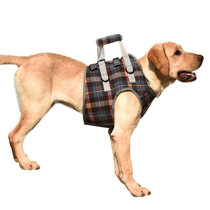 Orthopedic Dog Harness for Hind Legs – Walking Aid for Older Dogs