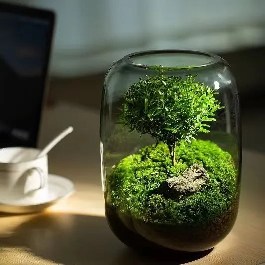 Moos-Terrarium mit Miniaturlandschaft im Glas