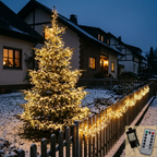 Cluster LED-Lichterkette Kupferdraht mit Fernbedienung & Timer, 3–30 m