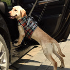 Orthopedic Dog Harness for Hind Legs – Walking Aid for Older Dogs