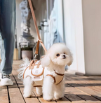 Hundetragetasche mit ergonomischer Unterstützung