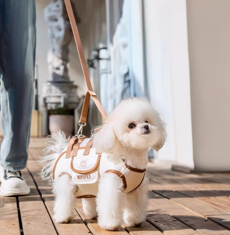 Hundetragetasche mit ergonomischer Unterstützung