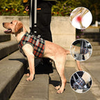 Orthopedic Dog Harness for Hind Legs – Walking Aid for Older Dogs