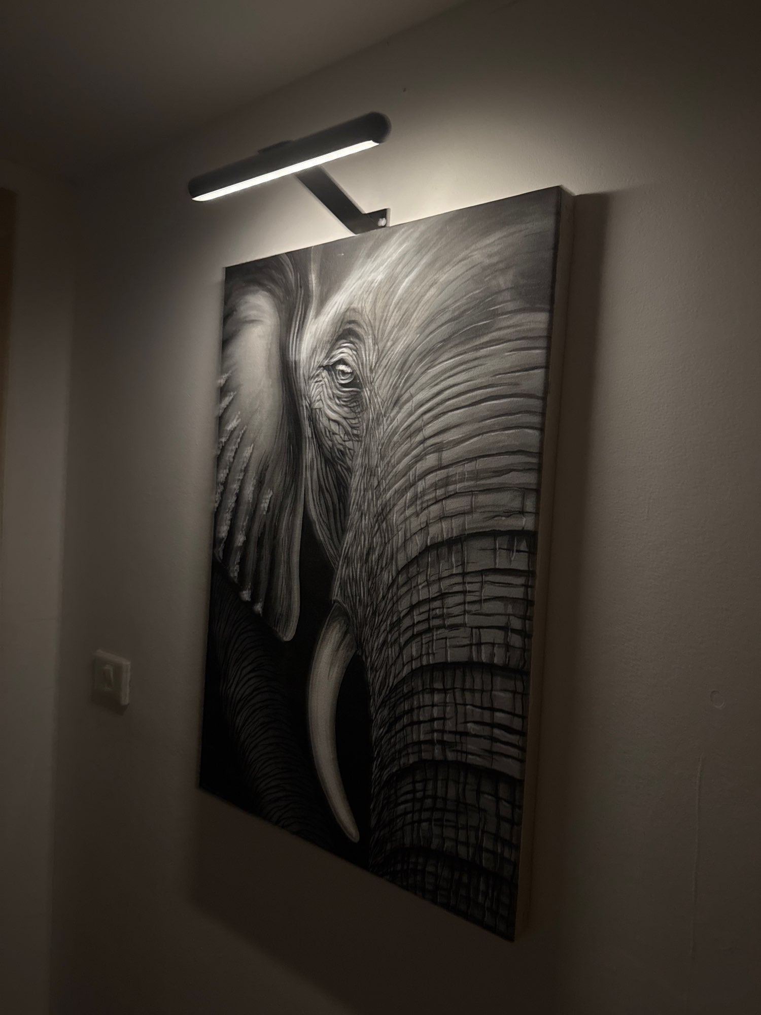 Wireless LED Picture Light – Dimmable Wall Lamp for Artwork