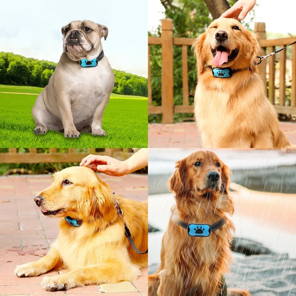 Anti-bark collar with sound wave technology