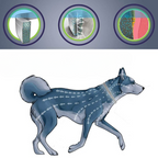 Natürliches Floh- & Zeckenhalsband Hund & Katze – 8 Monate Schutz, wasserdicht