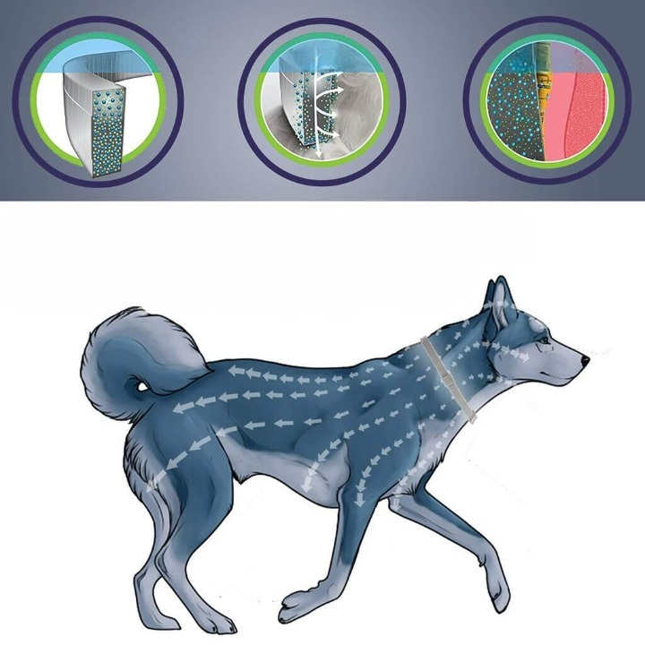 Natürliches Floh- & Zeckenhalsband Hund & Katze – 8 Monate Schutz, wasserdicht