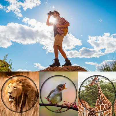 Fernglas 8x35 für Vogelbeobachtung und Outdoor-Abenteuer