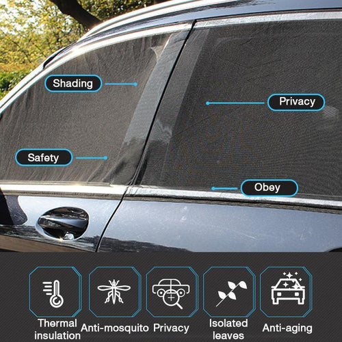 Automatic insect protection screen for windows