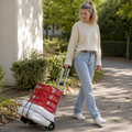 Klappbarer Handwagen mit Teleskopgriff