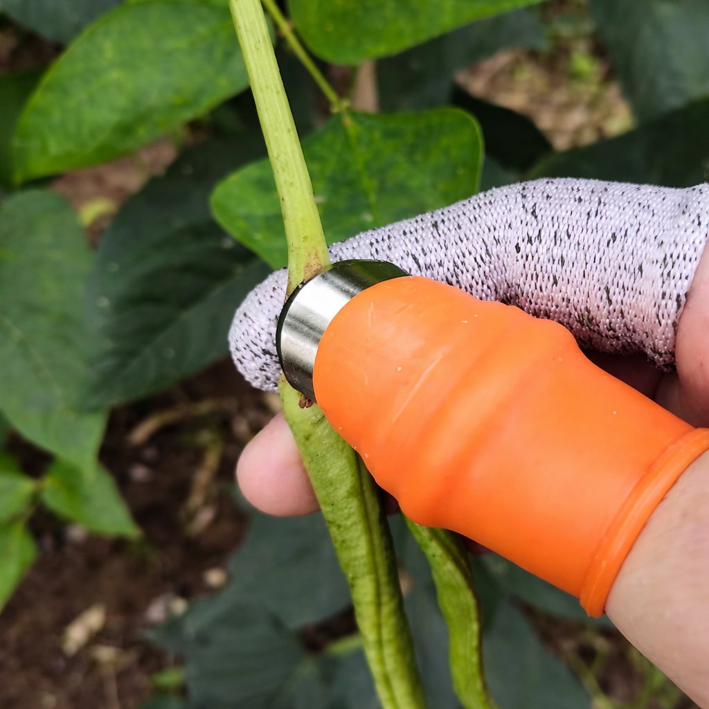 Erntehilfe Daumenklingen für Obst und Gemüse