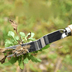 Weed puller with ergonomic wooden handle