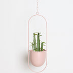 Moderner Hängeblumentopf -   Mivoza Deutschland