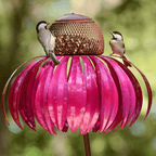 Vogelfutterspender Sonnenblume Metall mit bunten Blütenblättern