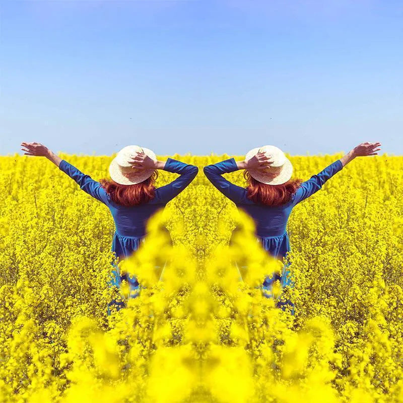 Smartphone-Reflexionsspiegel mit Clip für symmetrische Fotos