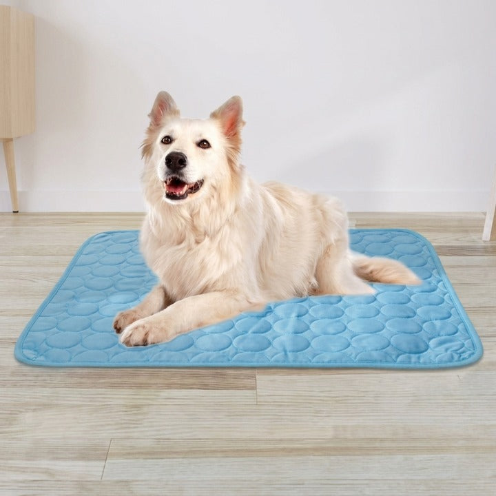 Kühlmatte für Hunde und Katzen