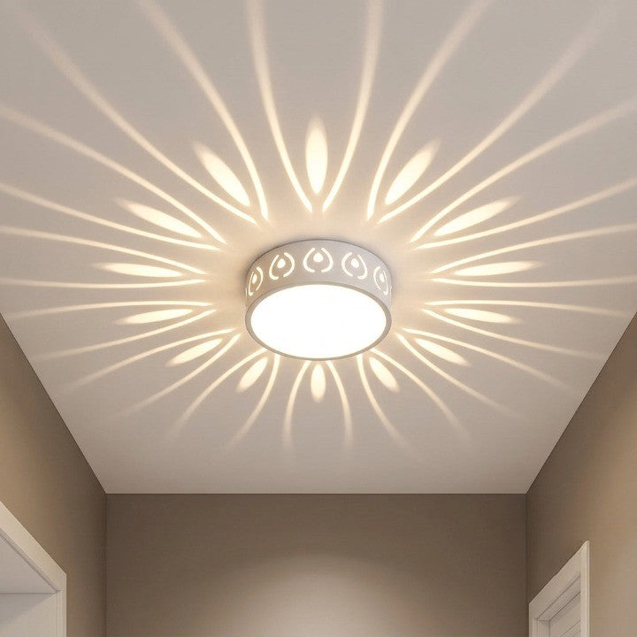 LED Ceiling Light