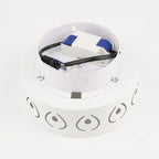 LED Ceiling Light