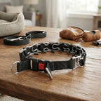Hundetraining Halsband mit Schnellverschluss und Chromkette