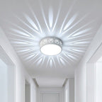 LED Ceiling Light