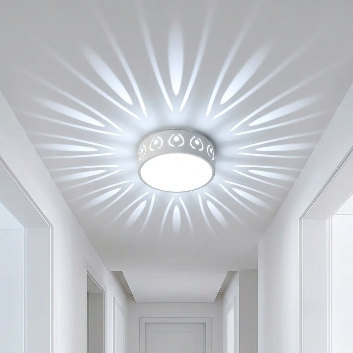 LED Ceiling Light