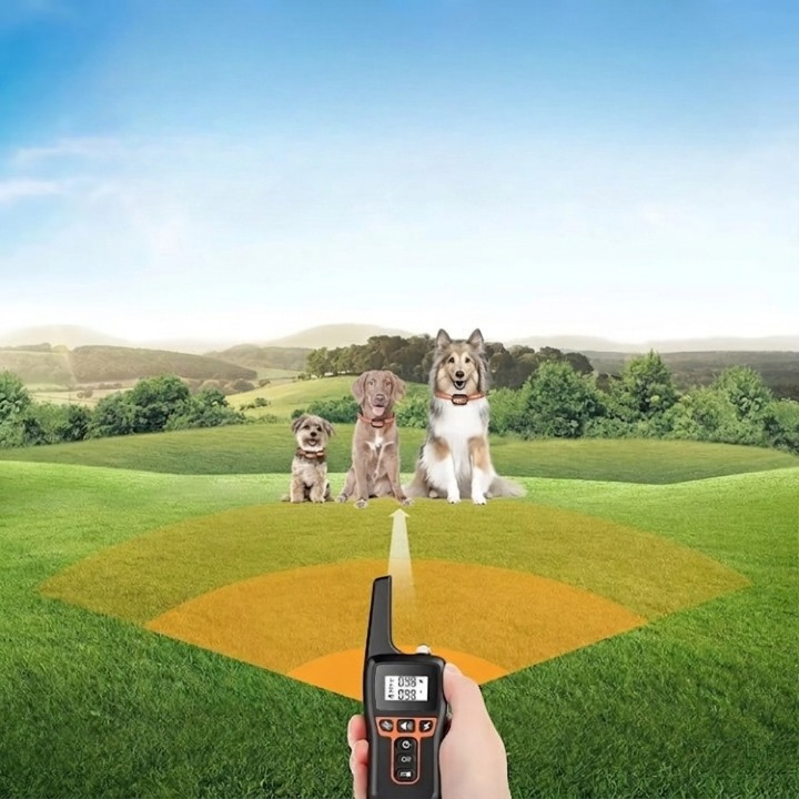 Dog collar with remote control up to 1000m - Finally relaxed walks