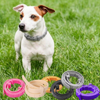 Natürliches Floh- & Zeckenhalsband Hund & Katze – 8 Monate Schutz, wasserdicht