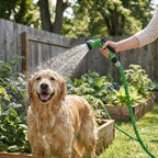 Flexibler Gartenschlauch mit 7-Funktions-Sprühpistole – dehnt sich auf das 3-Fache aus