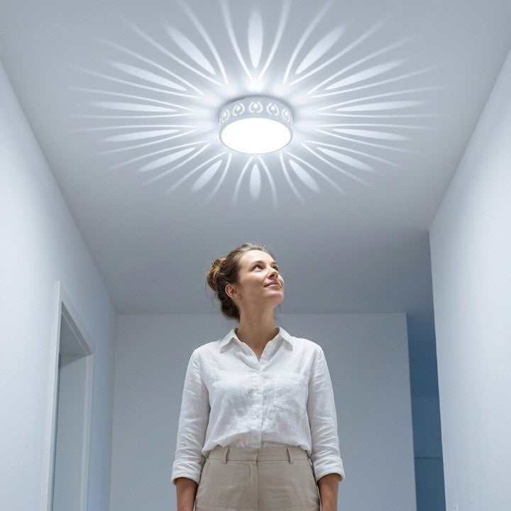 LED Ceiling Light